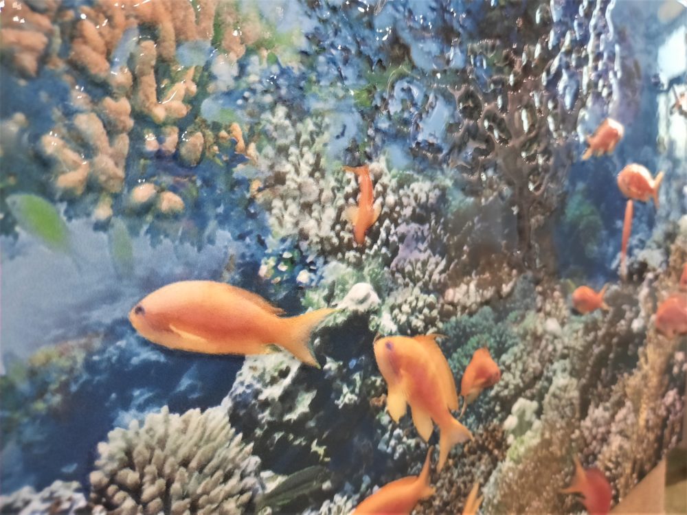 DETALLE DECOR DETALLE DECOR